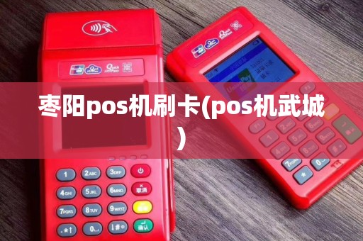 枣阳pos机刷卡(pos机武城)