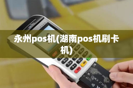 永州pos机(湖南pos机刷卡机)