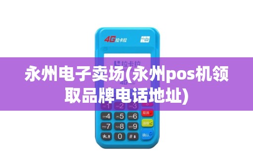 永州电子卖场(永州pos机领取品牌电话地址)