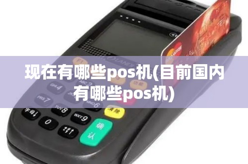 现在有哪些pos机(目前国内有哪些pos机)