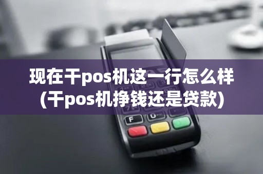 现在干pos机这一行怎么样(干pos机挣钱还是贷款)
