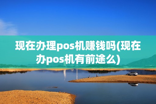 现在办理pos机赚钱吗(现在办pos机有前途么)