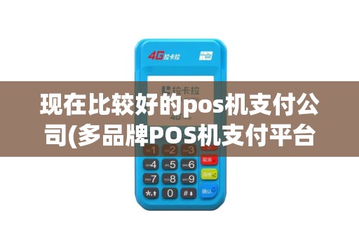 现在比较好的pos机支付公司(多品牌POS机支付平台)