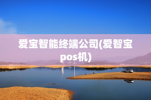 爱宝智能终端公司(爱智宝pos机)