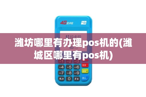 潍坊哪里有办理pos机的(潍城区哪里有pos机)