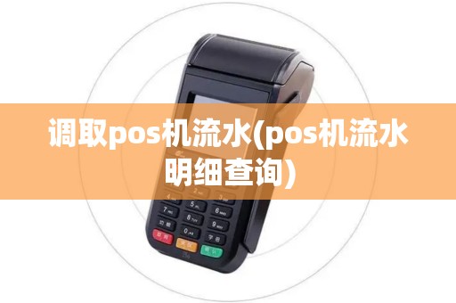 调取pos机流水(pos机流水明细查询)