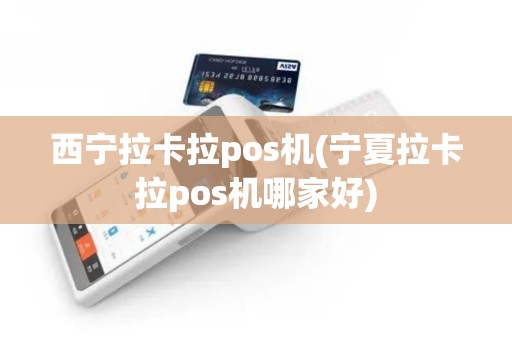 西宁拉卡拉pos机(宁夏拉卡拉pos机哪家好)