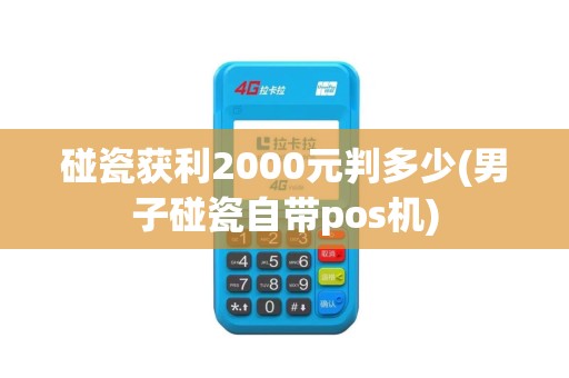 碰瓷获利2000元判多少(男子碰瓷自带pos机)
