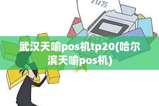 武汉天喻pos机tp20(哈尔滨天喻pos机)
