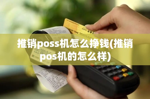 推销poss机怎么挣钱(推销pos机的怎么样)