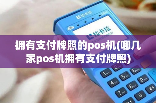 拥有支付牌照的pos机(哪几家pos机拥有支付牌照)