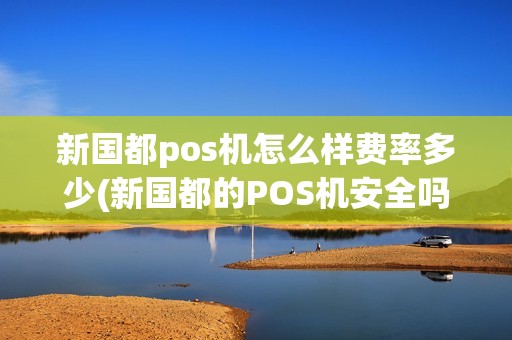新国都pos机怎么样费率多少(新国都的POS机安全吗)