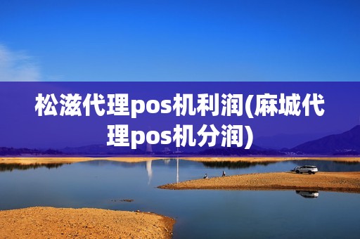 松滋代理pos机利润(麻城代理pos机分润)