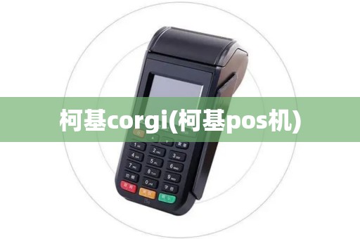 柯基corgi(柯基pos机)