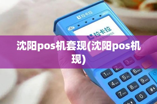 沈阳pos机套现(沈阳pos机现)