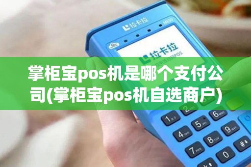 掌柜宝pos机是哪个支付公司(掌柜宝pos机自选商户)