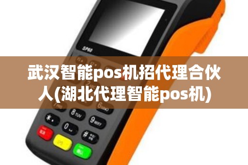 武汉智能pos机招代理合伙人(湖北代理智能pos机)