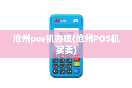 沧州pos机办理(沧州POS机买卖)