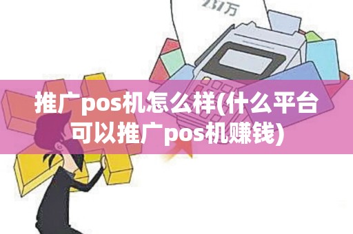 推广pos机怎么样(什么平台可以推广pos机赚钱)