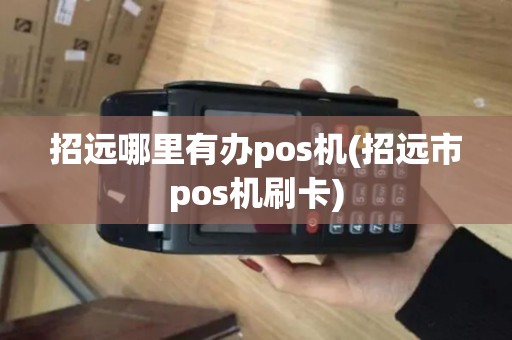 招远哪里有办pos机(招远市pos机刷卡)