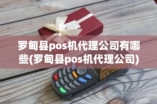 罗甸县pos机代理公司有哪些(罗甸县pos机代理公司)
