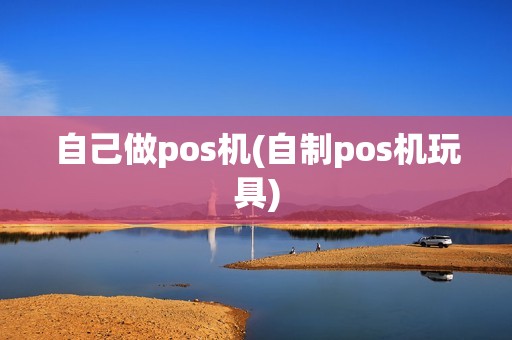 自己做pos机(自制pos机玩具)