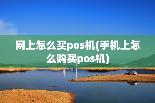网上怎么买pos机(手机上怎么购买pos机)