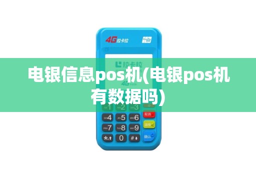 电银信息pos机(电银pos机有数据吗)