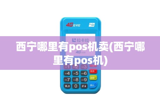 西宁哪里有pos机卖(西宁哪里有pos机)