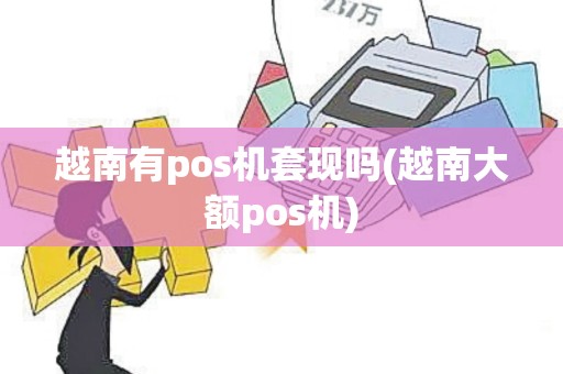 越南有pos机套现吗(越南大额pos机)