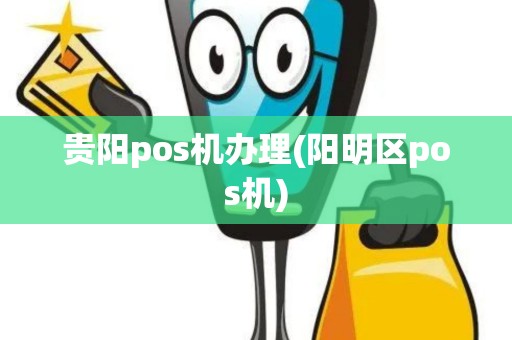 贵阳pos机办理(阳明区pos机)