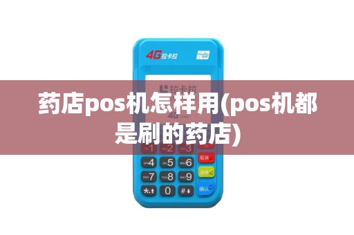 药店pos机怎样用(pos机都是刷的药店)