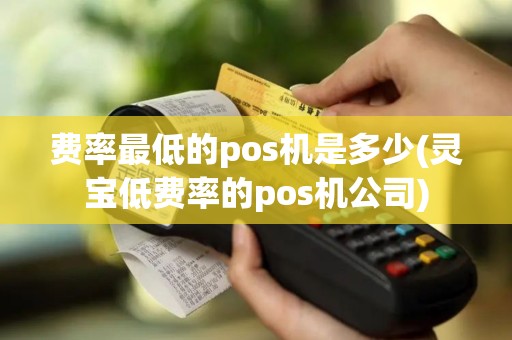 费率最低的pos机是多少(灵宝低费率的pos机公司)