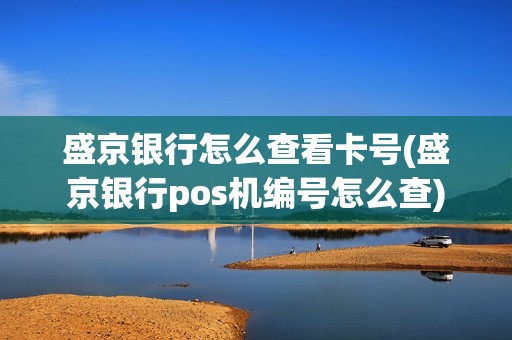 盛京银行怎么查看卡号(盛京银行pos机编号怎么查)