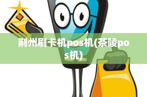 荆州刷卡机pos机(茶陵pos机)
