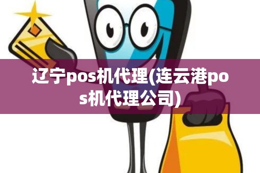 辽宁pos机代理(连云港pos机代理公司)