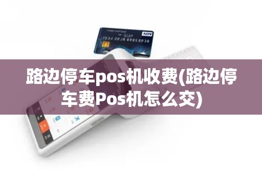 路边停车pos机收费(路边停车费Pos机怎么交)