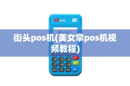 街头pos机(美女拿pos机视频教程)