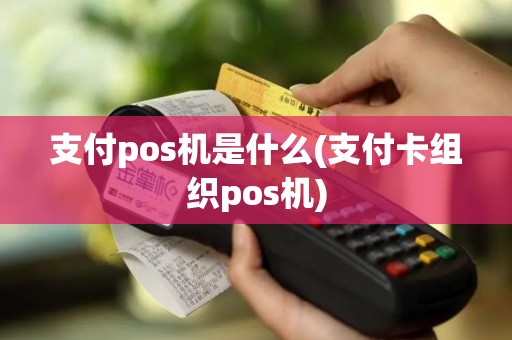 支付pos机是什么(支付卡组织pos机)