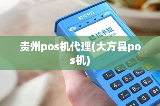 贵州pos机代理(大方县pos机)
