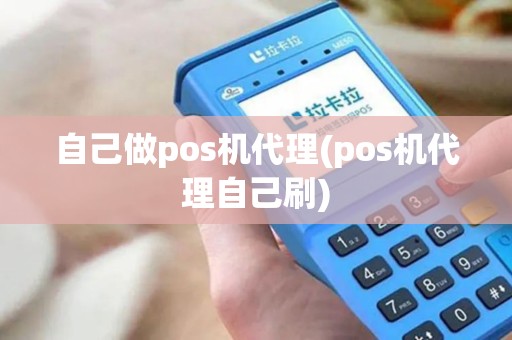 自己做pos机代理(pos机代理自己刷)