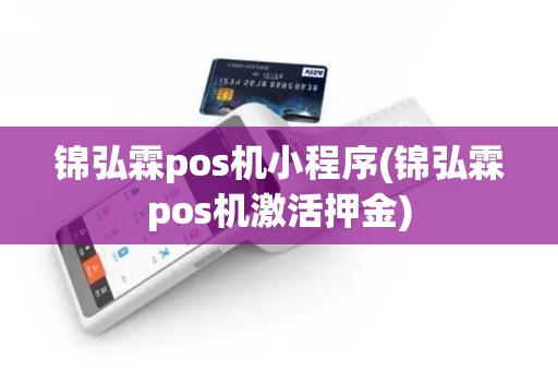 锦弘霖pos机小程序(锦弘霖pos机激活押金)