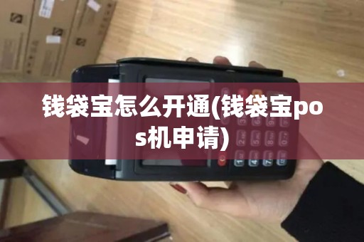 钱袋宝怎么开通(钱袋宝pos机申请)