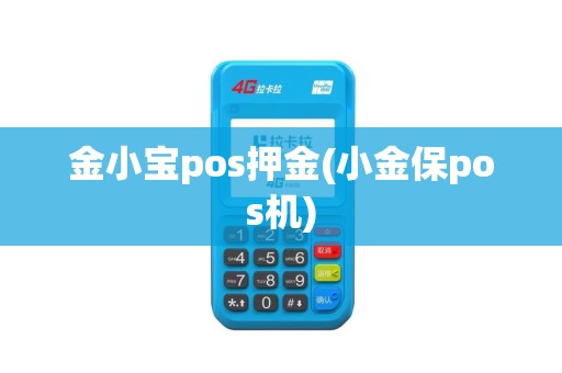 金小宝pos押金(小金保pos机)