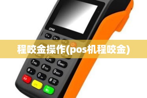 程咬金操作(pos机程咬金)