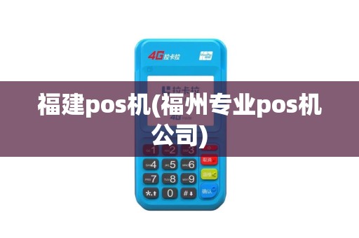 福建pos机(福州专业pos机公司)
