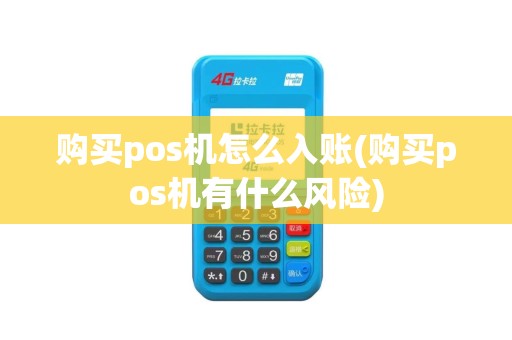 购买pos机怎么入账(购买pos机有什么风险)