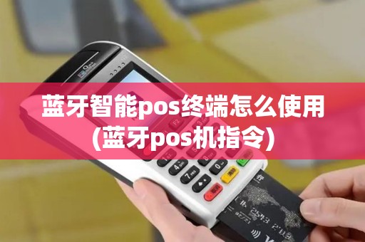 蓝牙智能pos终端怎么使用(蓝牙pos机指令)