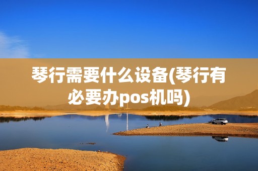 琴行需要什么设备(琴行有必要办pos机吗)