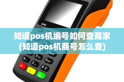 知道pos机编号如何查商家(知道pos机商号怎么查)